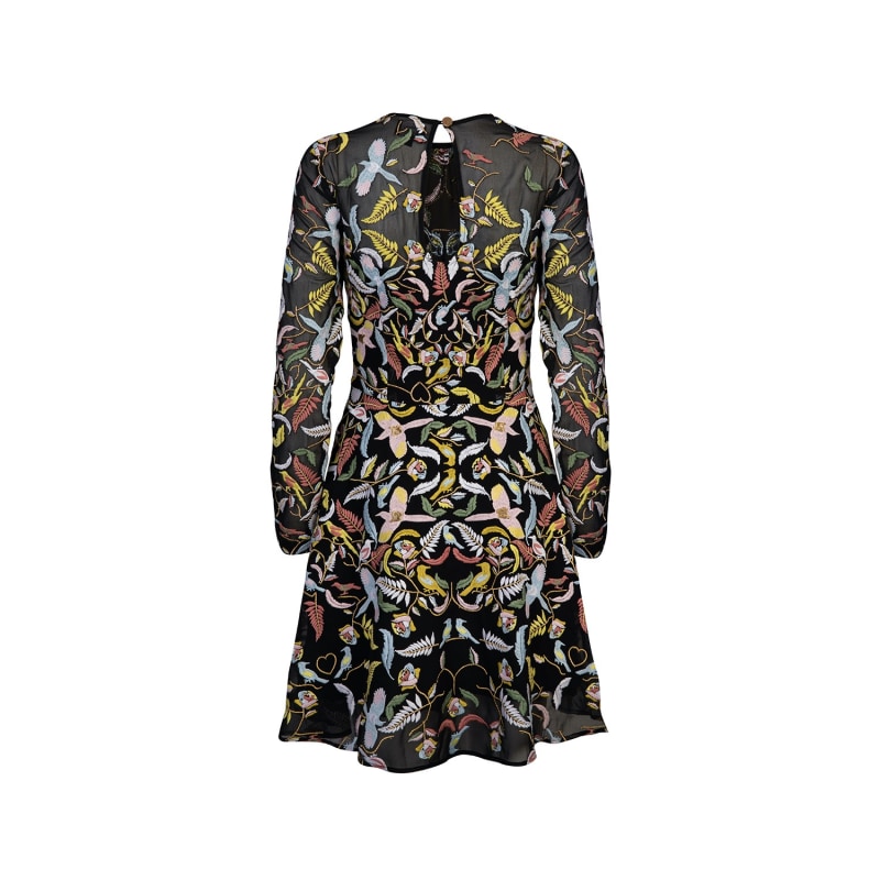 Thumbnail of Andi Embroidered Sheer Short Dress With Sleeves In Black image