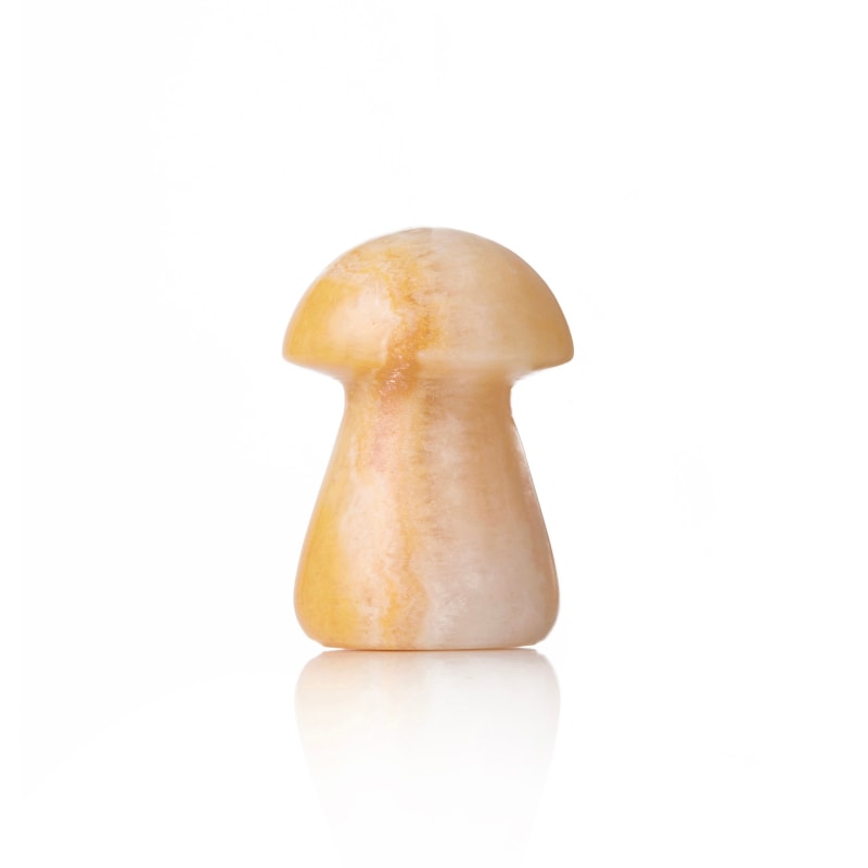 Thumbnail of Onyx Mushroom Massage Tool image
