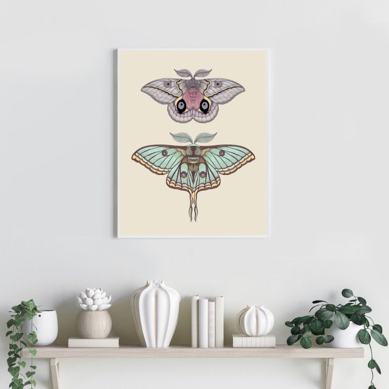 Thumbnail of Antique Luna & Automeris Frankae Moths Fine Art Print A3 image