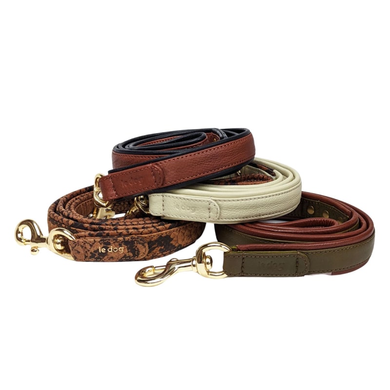 Padded leash on sale