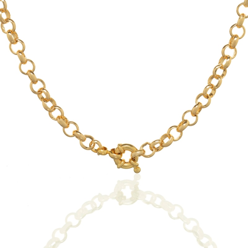 Thumbnail of Thick Gold Chain image