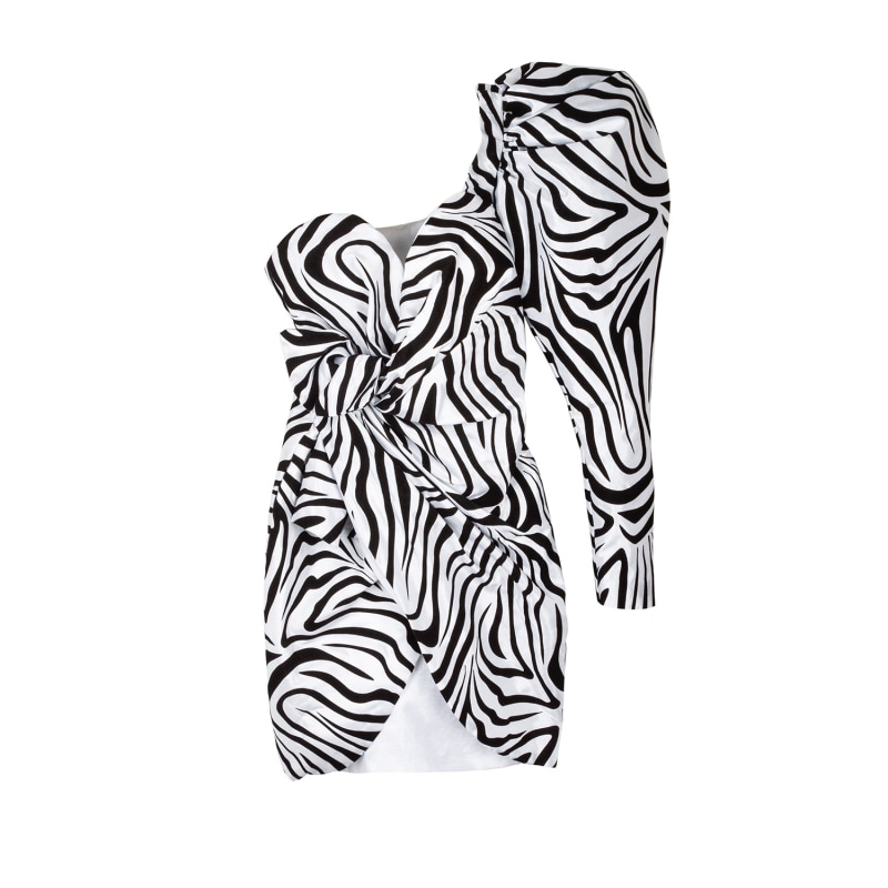 Thumbnail of Zebra Extravaganza Dress image