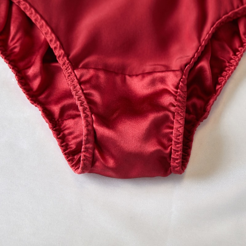 Pure Mulberry Silk French Cut Panties High Waist In Ruby Soft