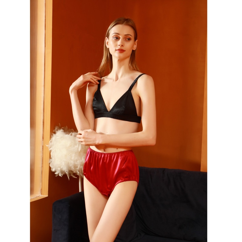 Pure Mulberry Silk French Cut Panties, High Waist In Ruby