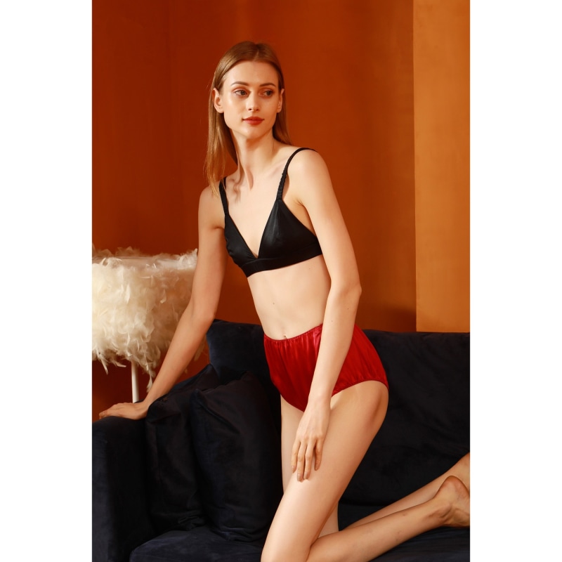 Pure Mulberry Silk French Cut Panties High Waist In Ruby Soft