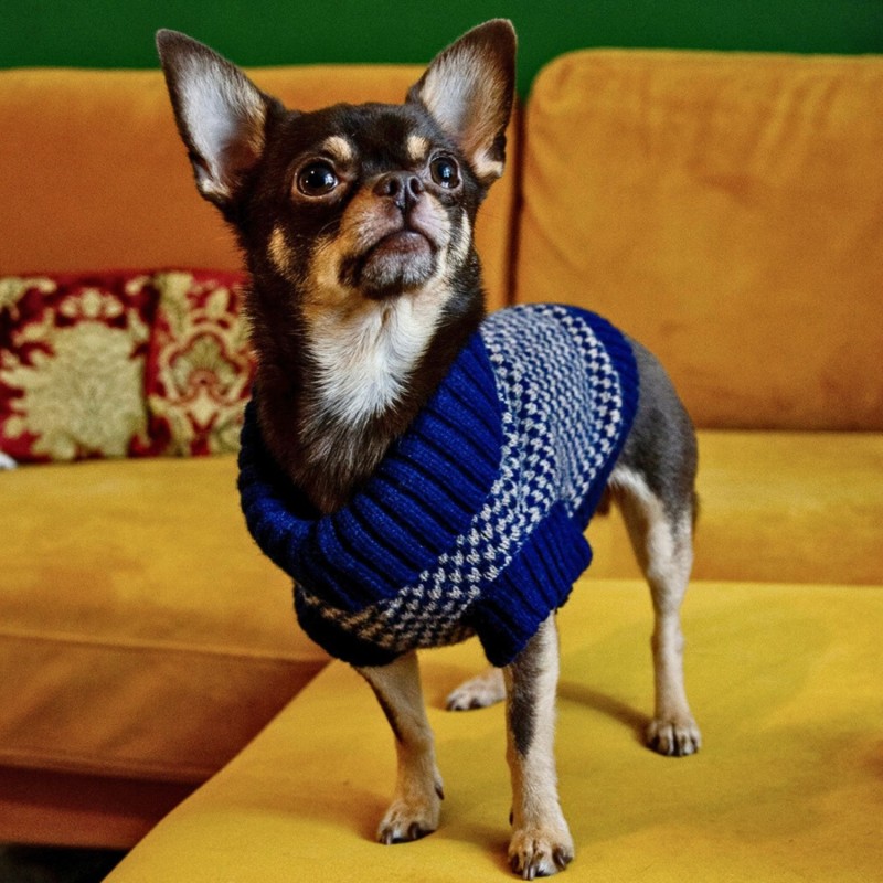 Extra small dog jumper on sale
