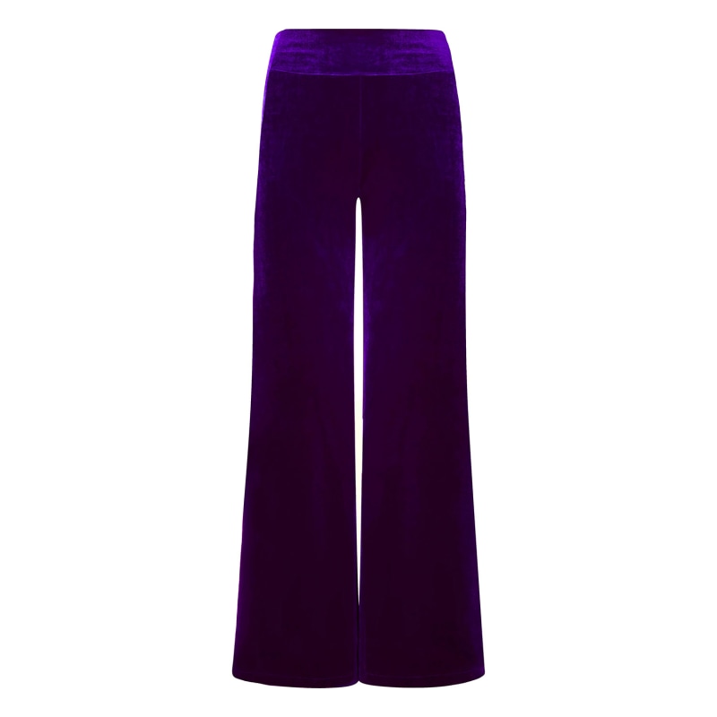 Purple velvet trousers top