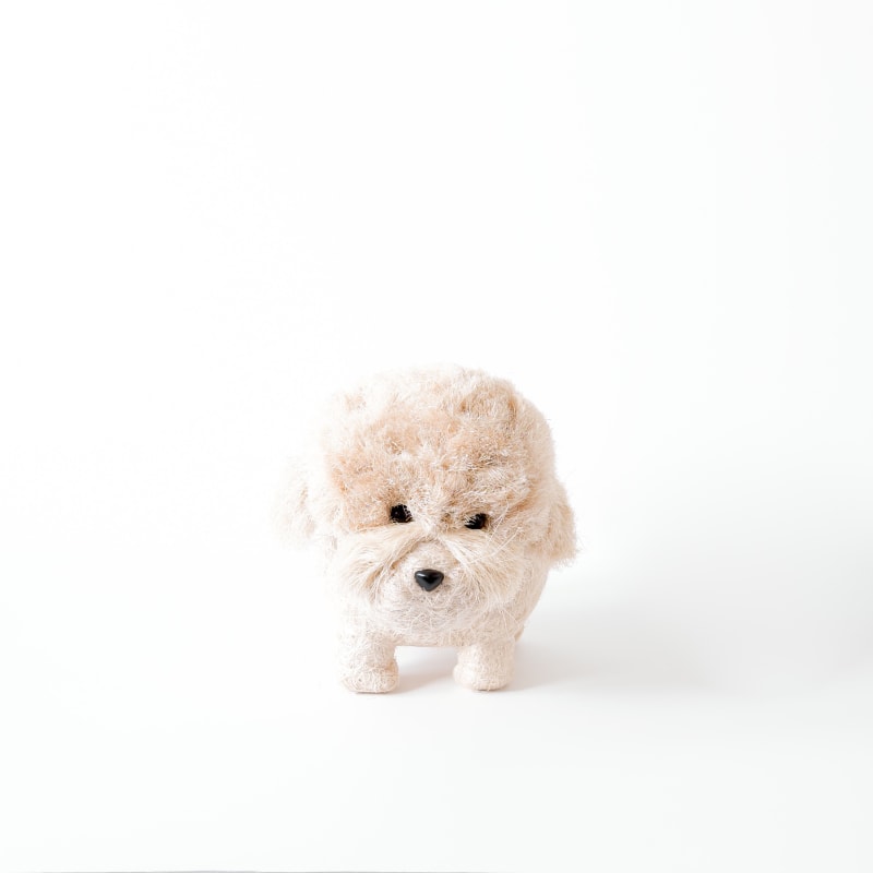 Thumbnail of Poodle Planter - Coco Coir Pots Likhâ image