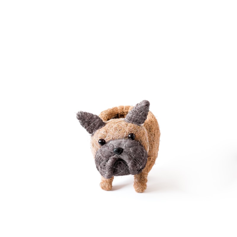 Thumbnail of French Bulldog Planter - Coco Coir Pots Likhâ image