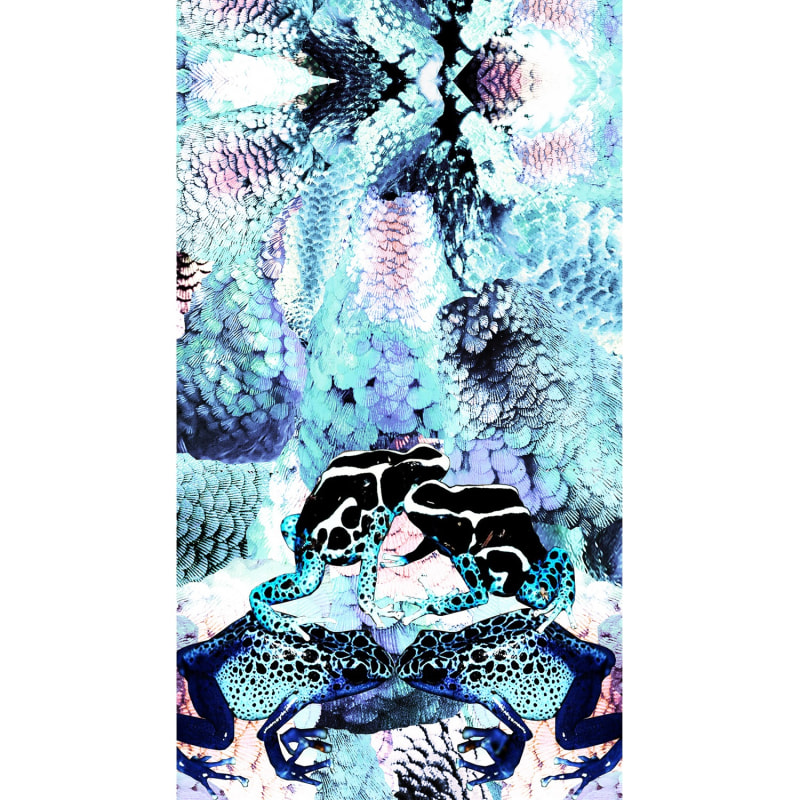 Thumbnail of Frogs & Feathers Aqua Large Silk Scarf image