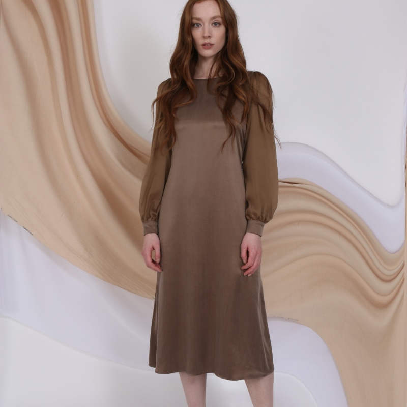 Thumbnail of Chestnut Dress image