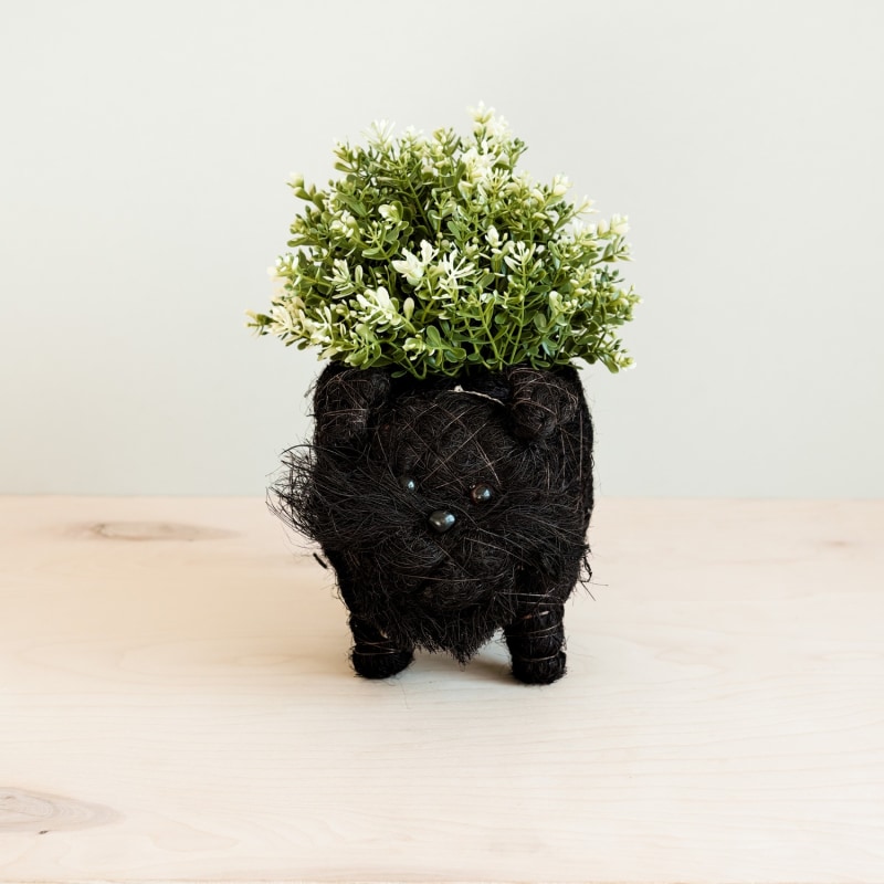 Thumbnail of Coco Coir Animal Planter - Schnauzer image