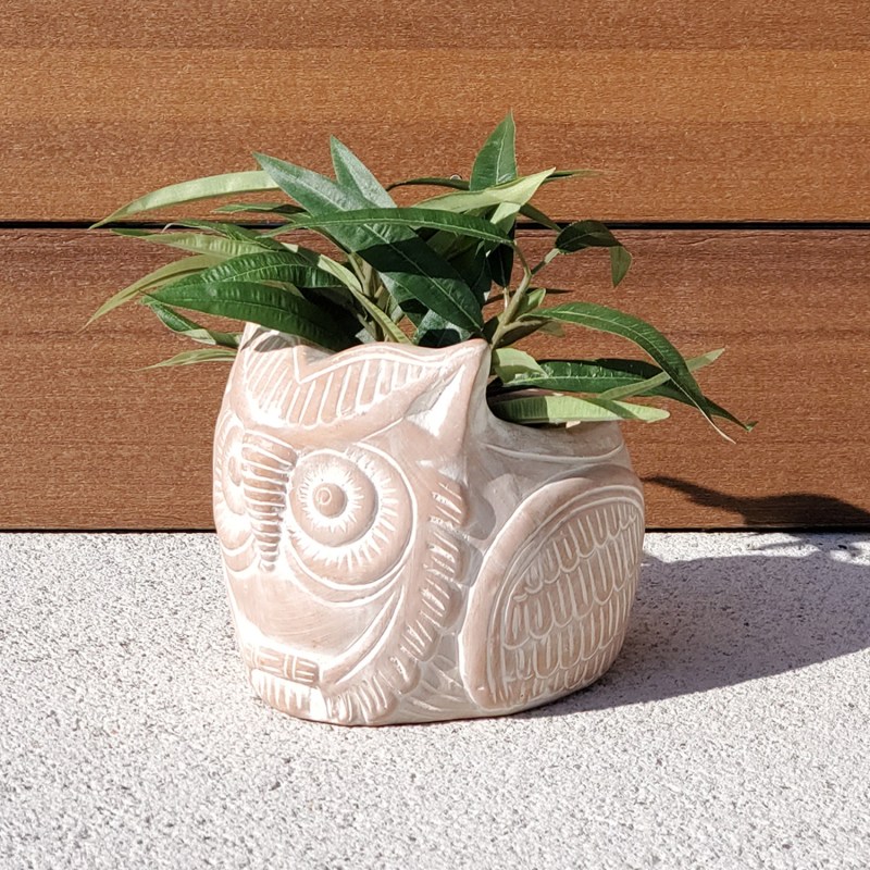 Thumbnail of Terracotta Pot - Horned Owl image