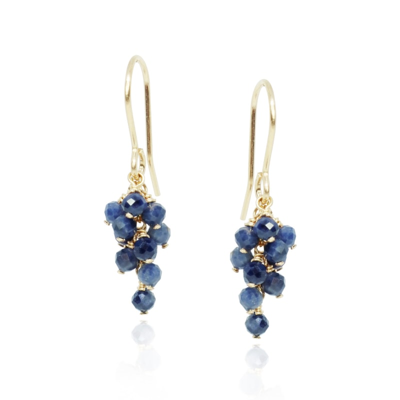 Dainty gold tone fishhook earrings with a natural blue stone half