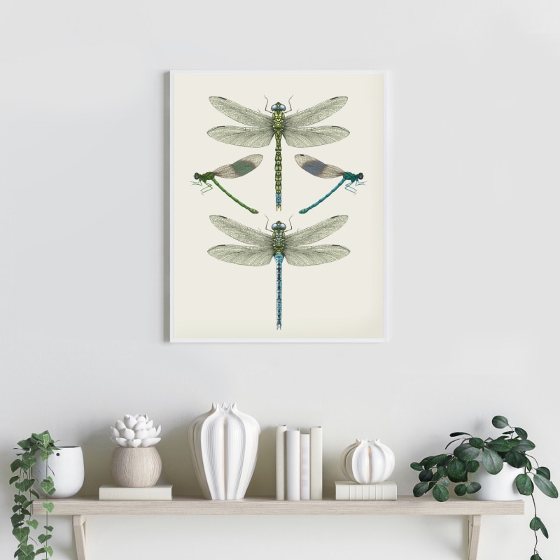 Thumbnail of 'Dragonflies & Damselflies - Cream' Fine Art Print A3 image