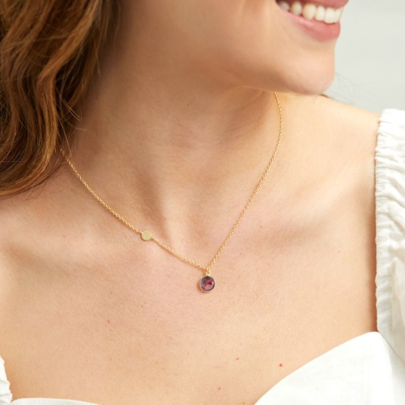 Thumbnail of Salina Gold Vermeil Disc & Garnet Necklace image