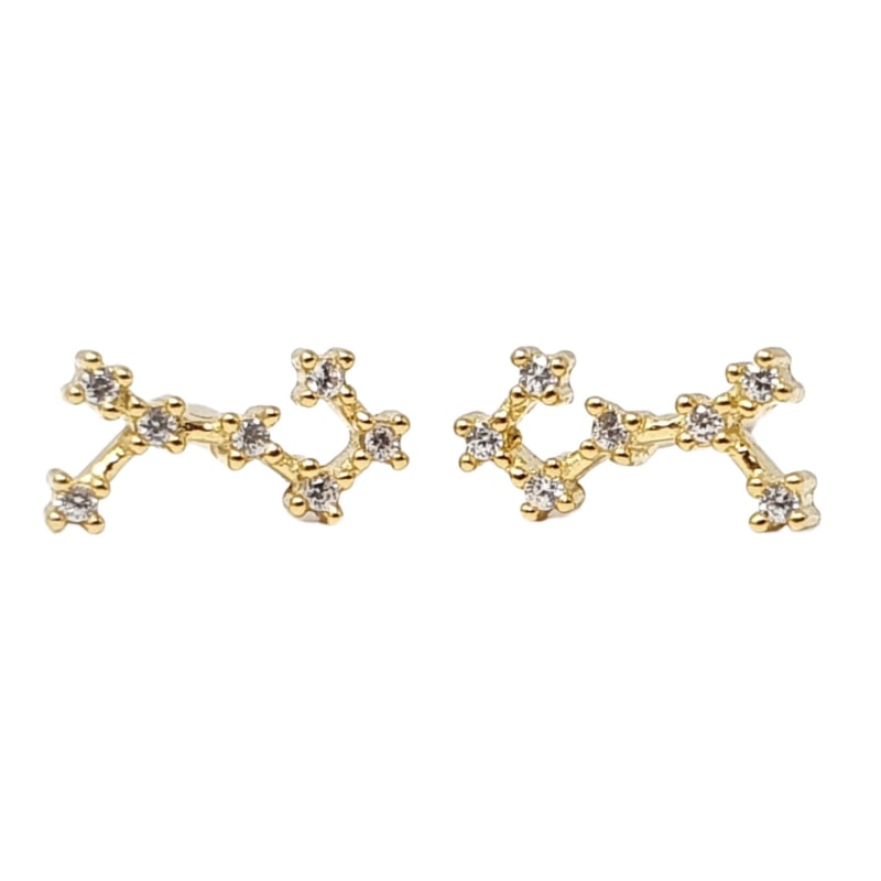 Scorpio constellation earrings sales