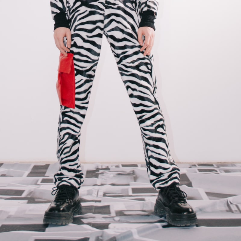 Thumbnail of Zebra Pants image