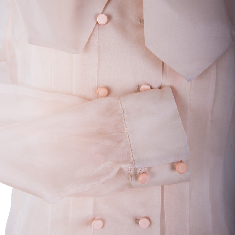 Thumbnail of Sheer Silk Shirt With Bow Collar image