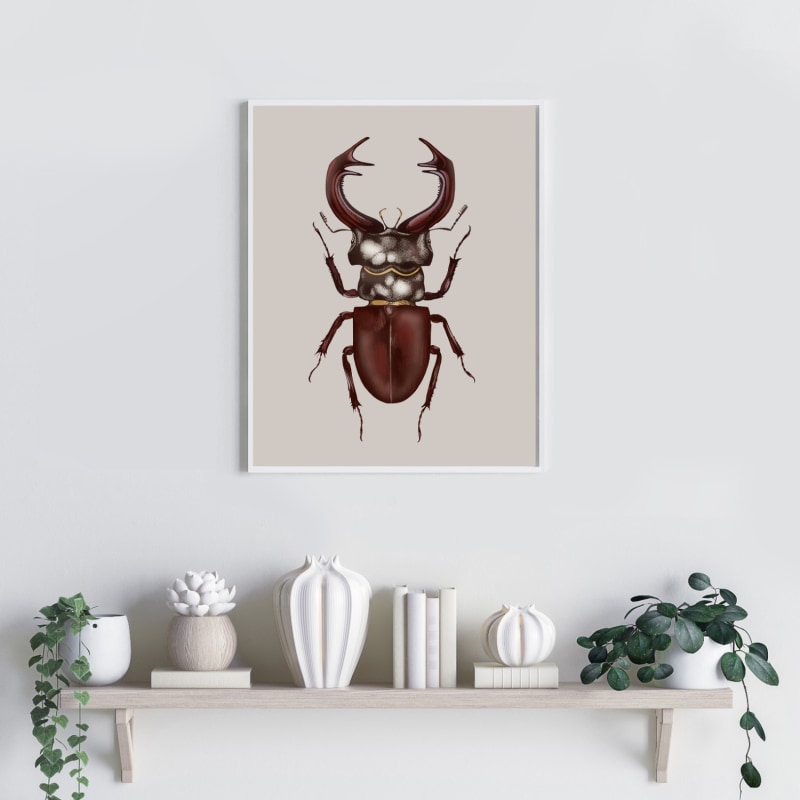 Thumbnail of Antique Stag Beetle Fine Art Print A3 image