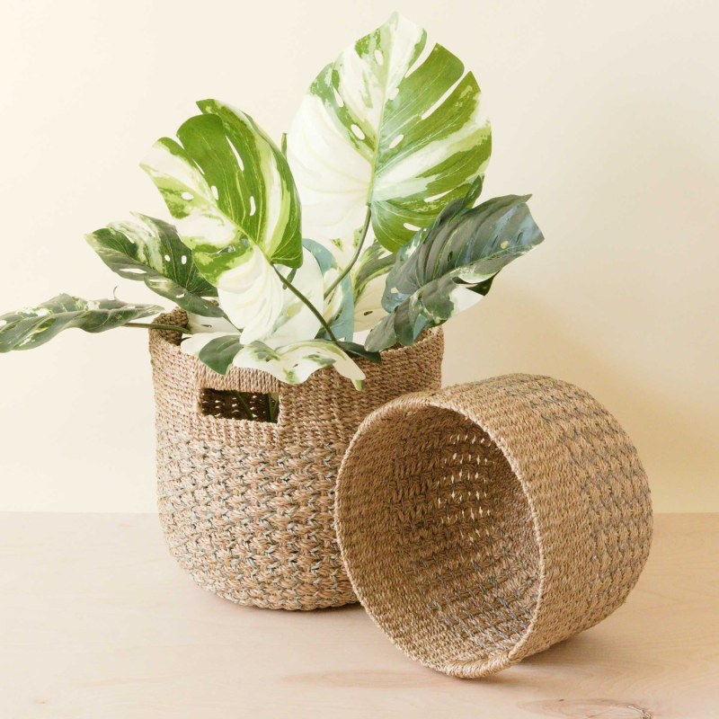 Natural and Black Woven Rattan Cactus Decor - World Market