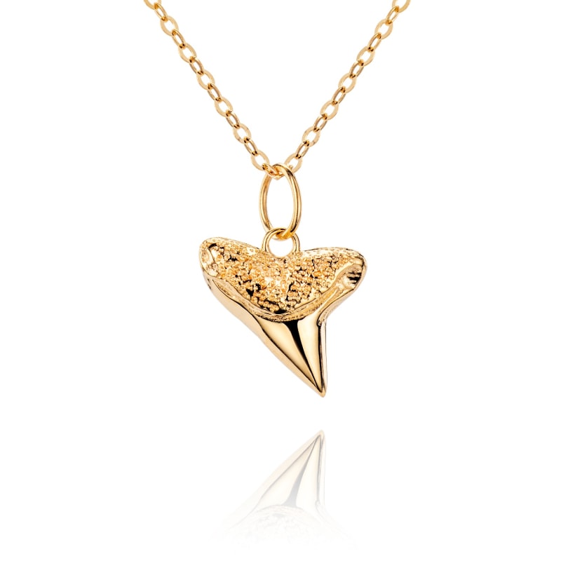 Solid Gold Shark Tooth Necklace Aaria London Wolf Badger