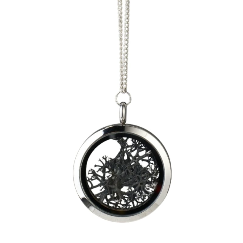 Thumbnail of Stainless Steel Amulet Necklace With Natural Black Moss image