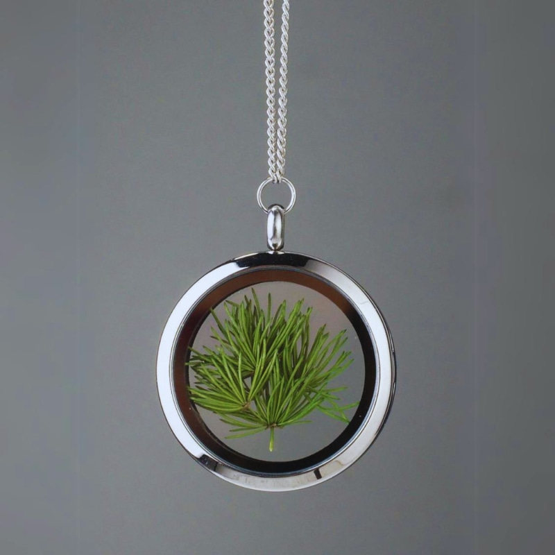 Thumbnail of Natural Pine Tree Needles Stainless Steel Amulet Necklace - Forever Young image