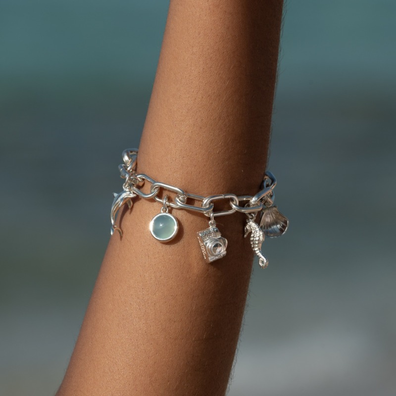 Sterling silver link best sale charm bracelet