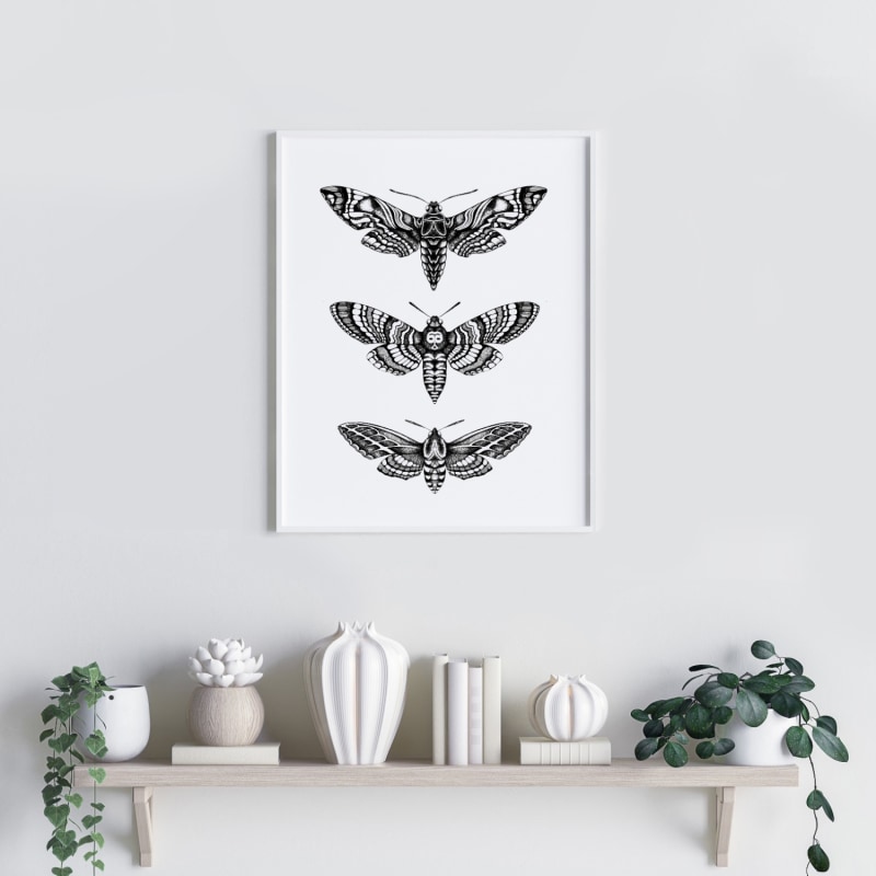 Thumbnail of 'Hawk Moths' Fine Art Print A3 image