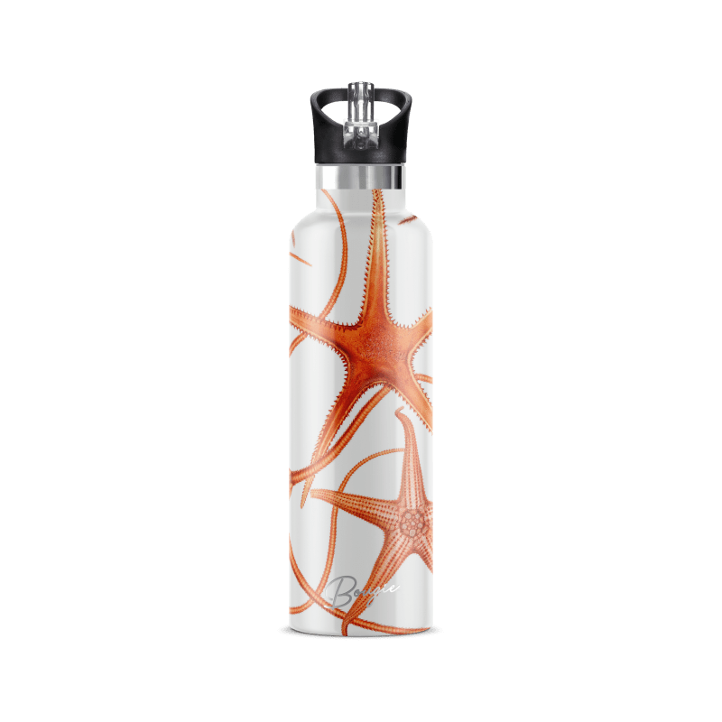 Thumbnail of Stella Piscis | Insulated Water Bottle With Flip 'N' Sip Lid image