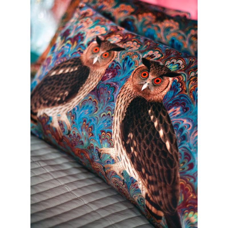 Thumbnail of Teal Twin Eagle Owl Velvet Cushion image