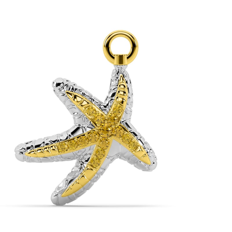 Starfish charms top