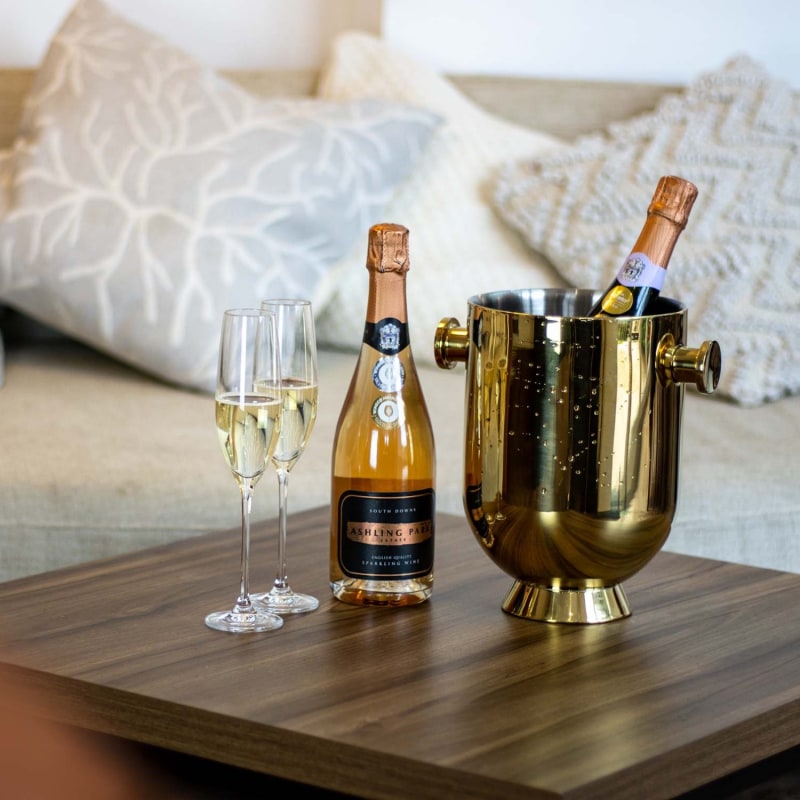 Luxury champagne bucket sale