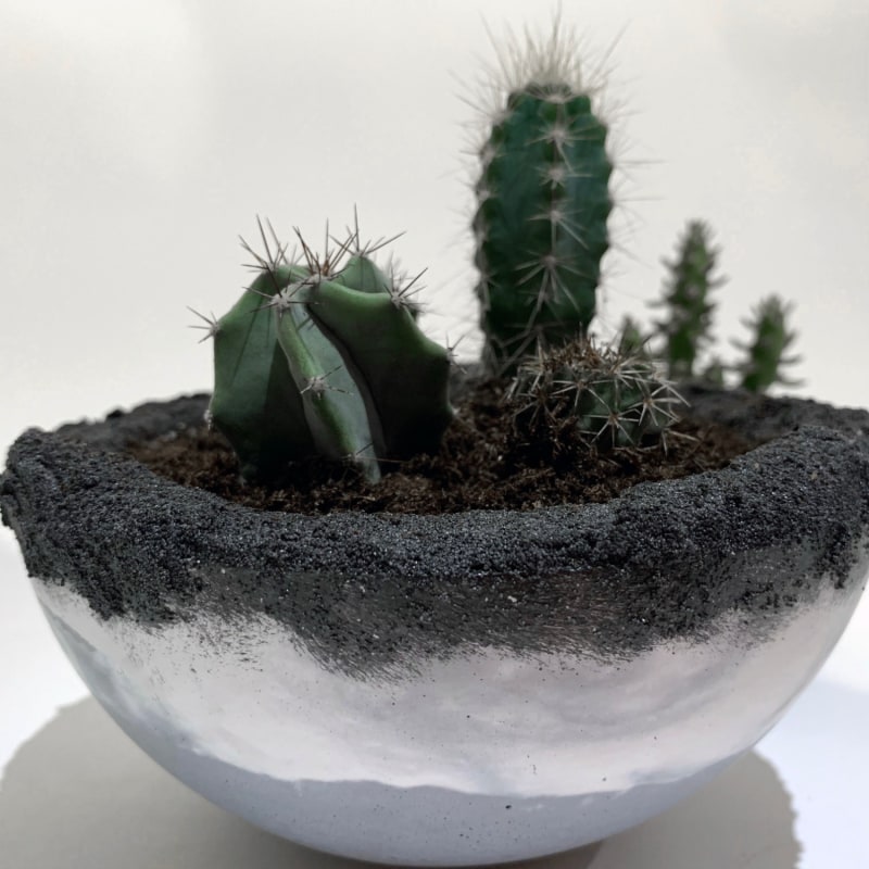 Thumbnail of Ornamental Concrete Plant Pot Grey With Drain Hole image