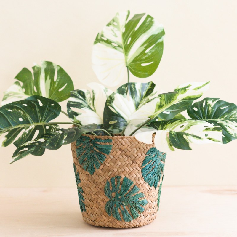 Thumbnail of Monstera Embroidered Soft Seagrass Planter - Neutrals image