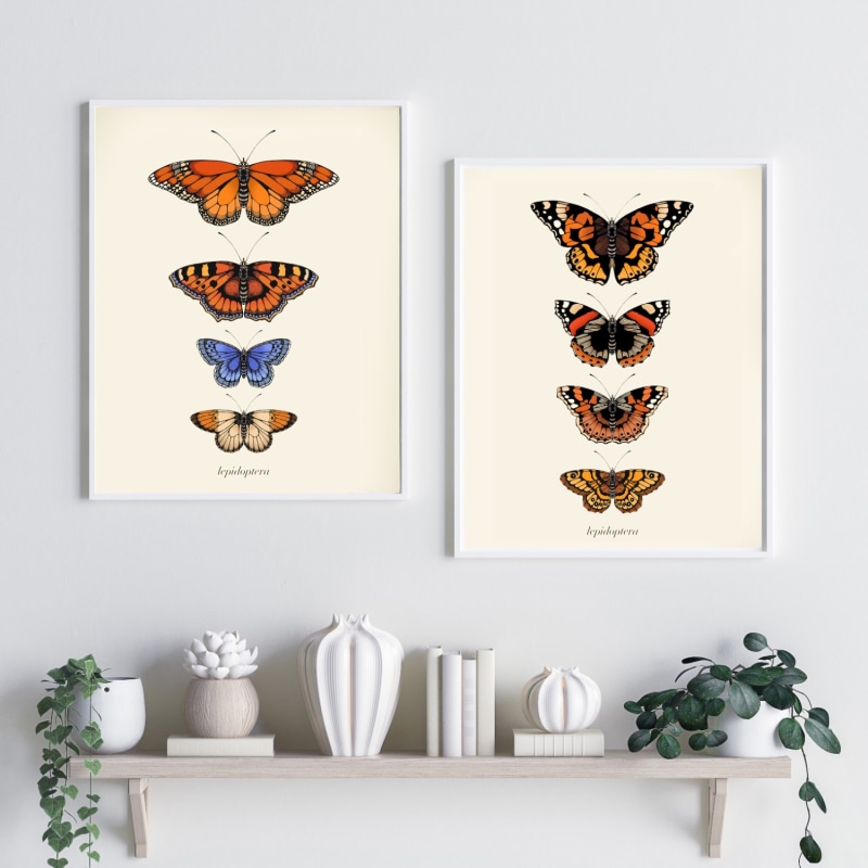 Thumbnail of 'Antique British Butterflies Iii' Fine Art Print A4 image