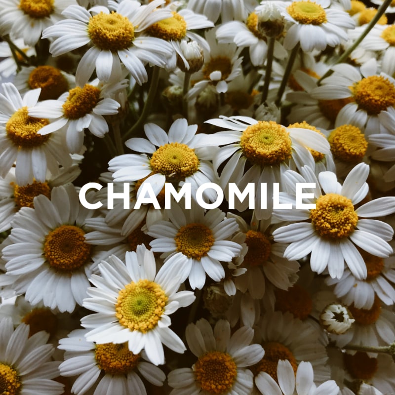 Thumbnail of Neroli + Chamomile Scented Candle image