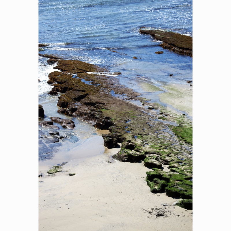 Thumbnail of Velvet Fever Jumpsuit - Sand, Water, Moss Print image