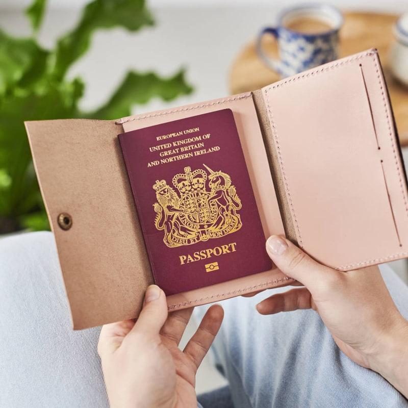 Thumbnail of Vida Blush Leather Passport Holder image