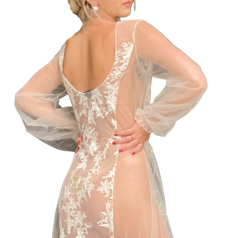 Thumbnail of Star Embroidered Off White Sheer Tulle Long Gown image