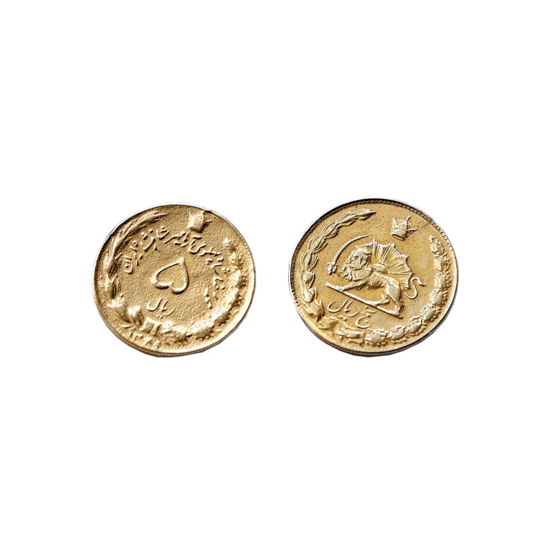 Thumbnail of The Lion & The Sun Earrings image