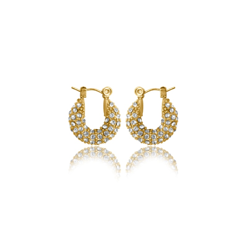 Thumbnail of Belle Micro Inlaid Diamond Hoop Earrings image