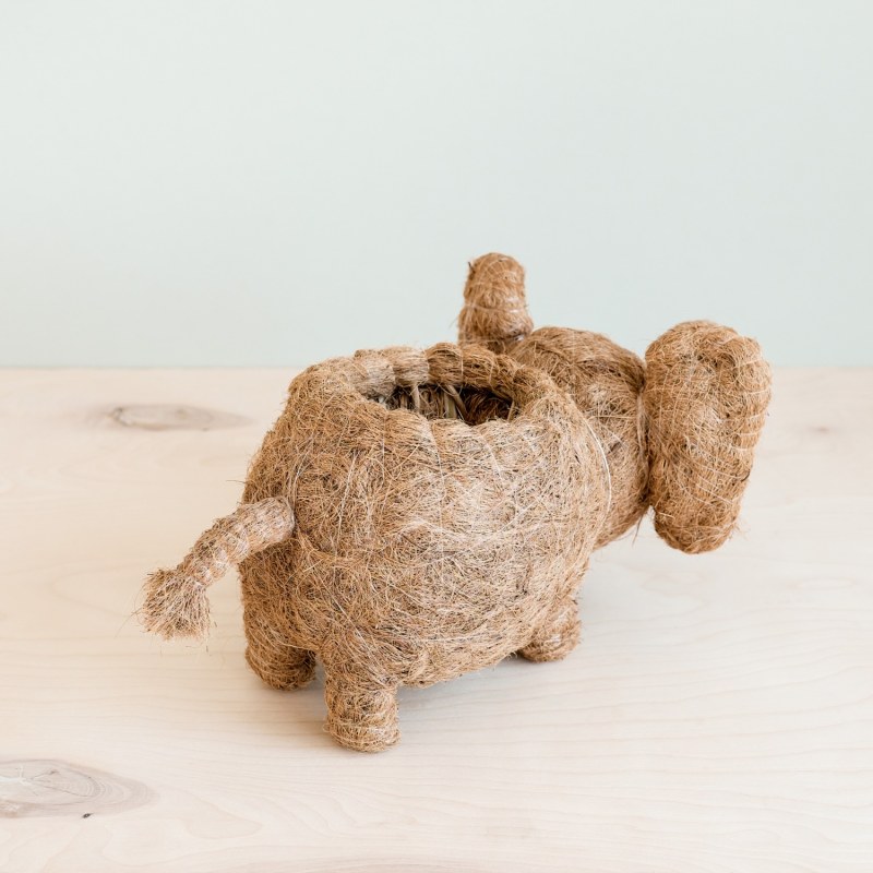 Thumbnail of Coco Coir Animal Planter - Elephant image