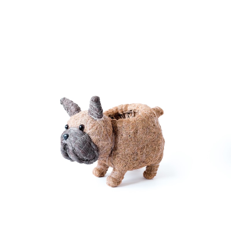 Thumbnail of French Bulldog Planter - Coco Coir Pots Likhâ image