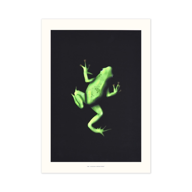 Thumbnail of Tiana'S Frog: Art Print image