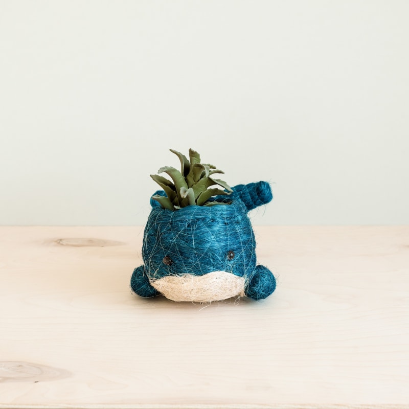 Thumbnail of Coco Coir Animal Planter Baby Whale image