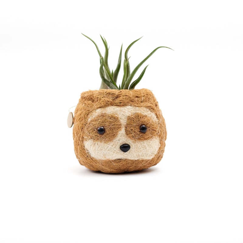 Thumbnail of Coco Coir Animal Planter Mini Pot Sloth Light image