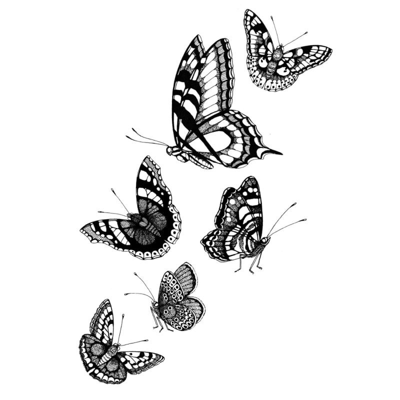 Thumbnail of 'British Butterflies' Fine Art Print A3 image