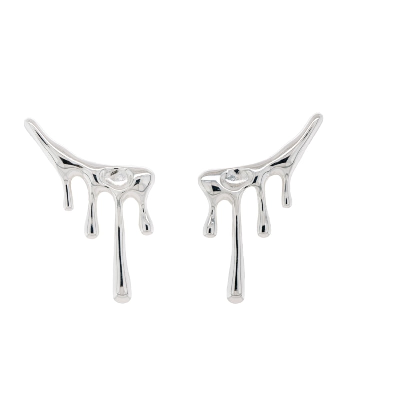 Silver Earrings